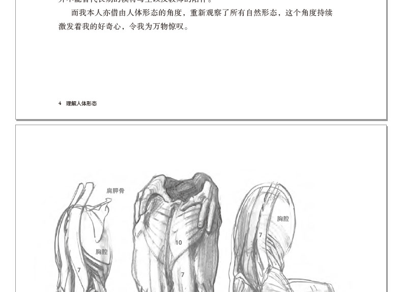 1650379182249423.jpg