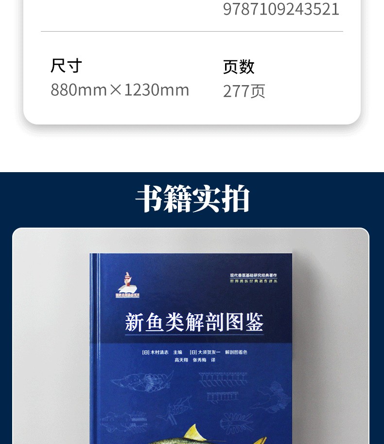 1651827680121773.jpg