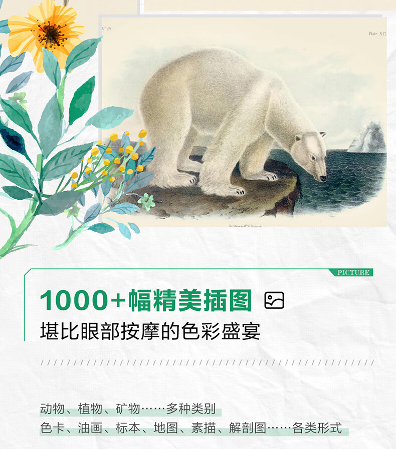 1672375174148517.jpg