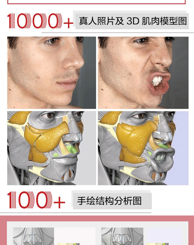 1744333808910106.jpg