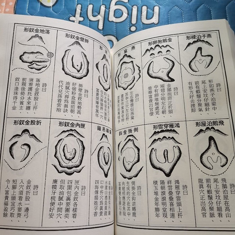 1750772900133128.jpg